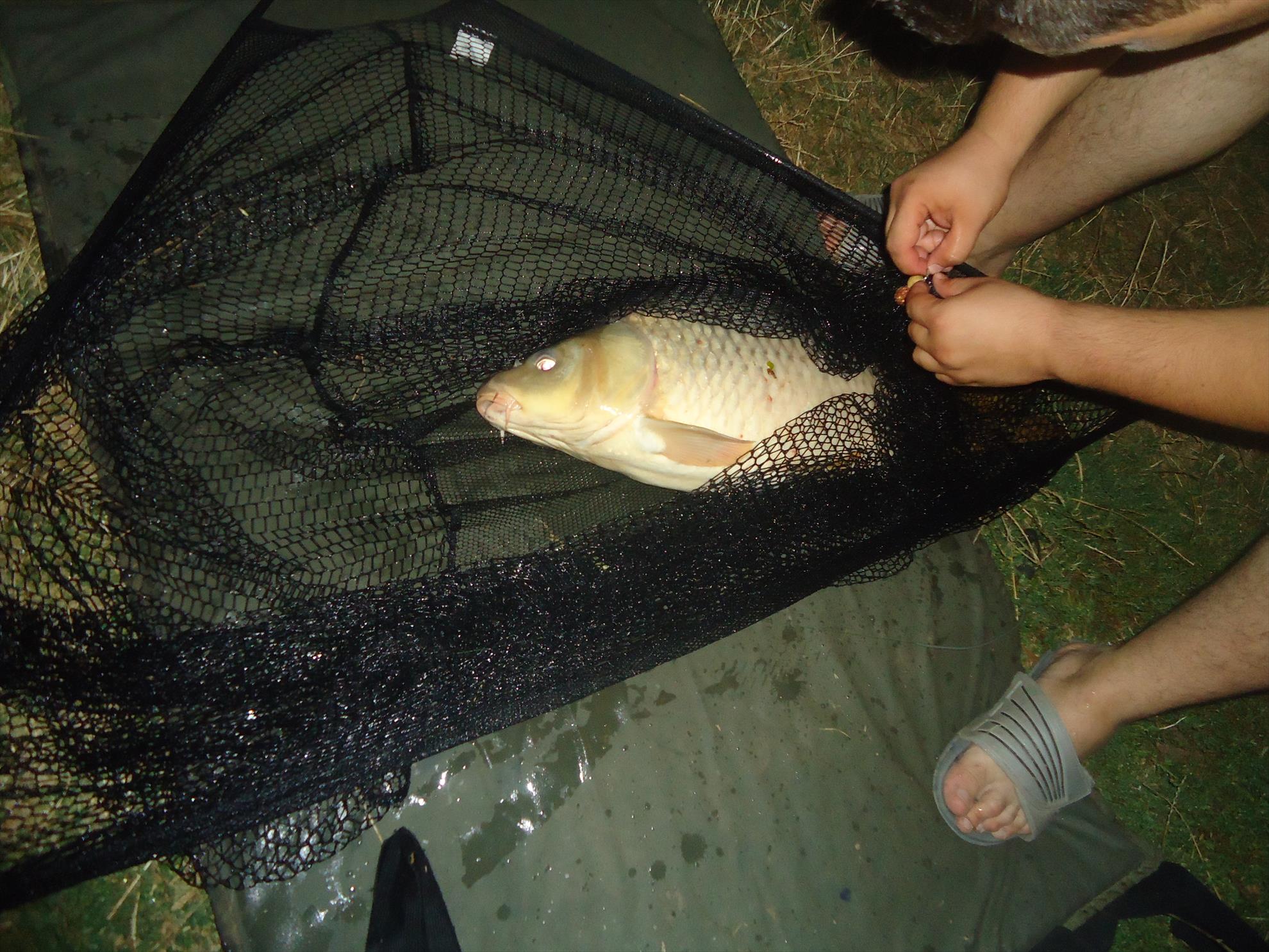 Moara vlasiei 26-27-08-2013 - dsc03872.JPG